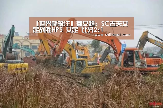 【世界杯投注】挪女超: SC古夫女足战胜HPS 女足 比分2:1(图3) 2026世界杯下注