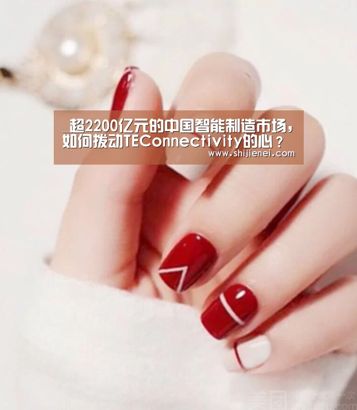 _超2200亿元的中国智能制造市场,如何拨动TEConnectivity的心?(图3) _超2200亿元的中国智能制造市场,如何拨动TEConnectivity的心?(图3)
