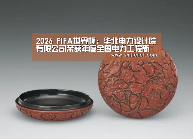 2026 FIFA世界杯:华北电力设计院有限公司荣获年度全国电力工程新闻宣传先进单位(图2) FIFA世界杯